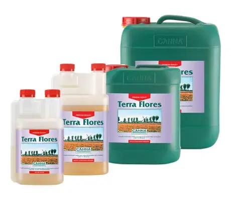 CANNA Terra Flores