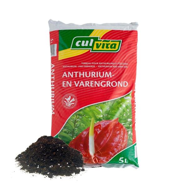 Anthurium en Varengrond - 5 liter