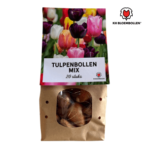 Tulpenbollen Mix – 20 Stuks