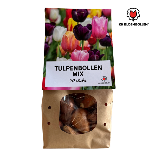 Tulpenbollen Mix – 20 Stuks
