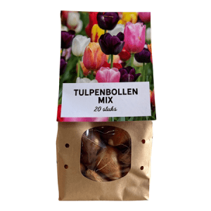 Tulpenbollen mix
