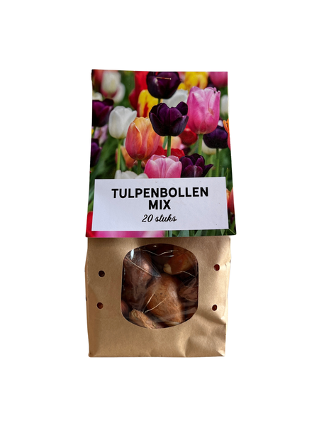 Tulpenbollen mix
