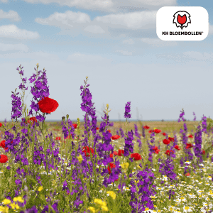 Wilde Bloemenzaad Mengsel 100 gram