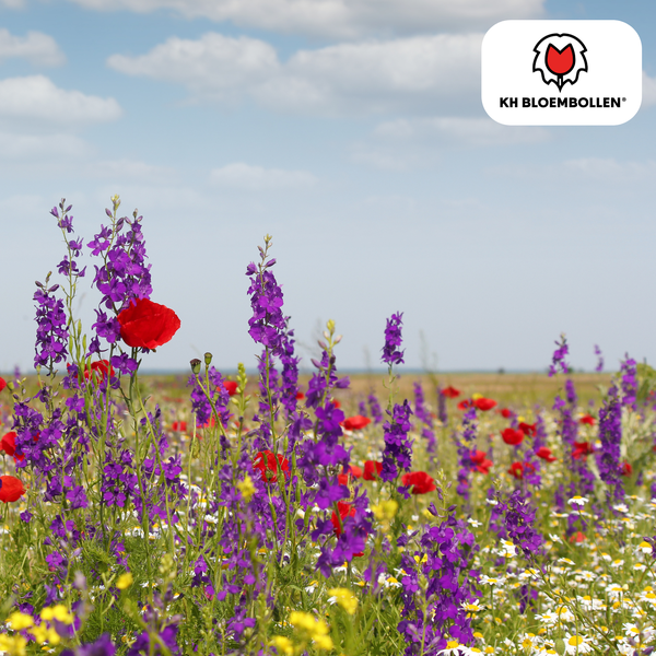 Wilde Bloemenzaad Mengsel 100 gram