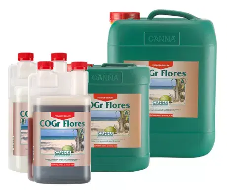CANNA COGr Flores