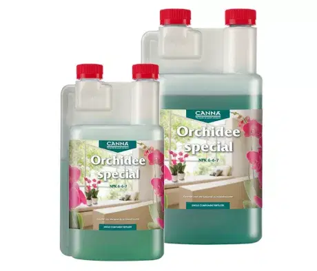 CANNA Orchidee Special