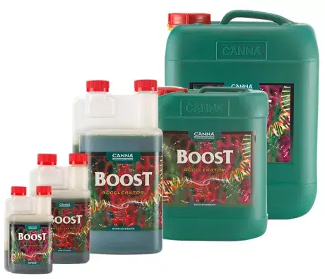 CANNABOOST Accelerator